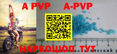 сатива Новозыбков