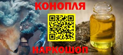 сатива Новозыбков