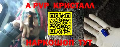 сатива Новозыбков