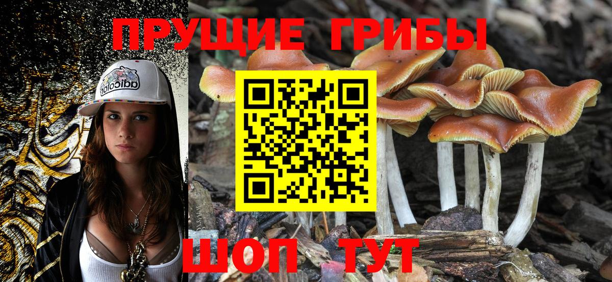 Псилоцибиновые грибы мицелий Серпухов